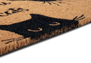 Hanse Home rohožka Mix Mats 105667 Cocos