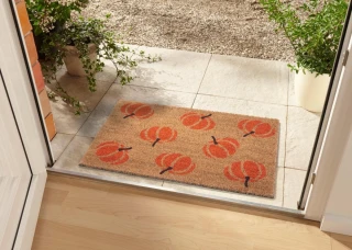 Hanse Home rohožka Mix Mats 105677 Cocos