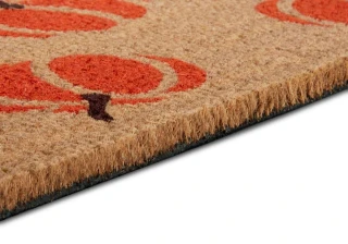 Hanse Home rohožka Mix Mats 105677 Cocos