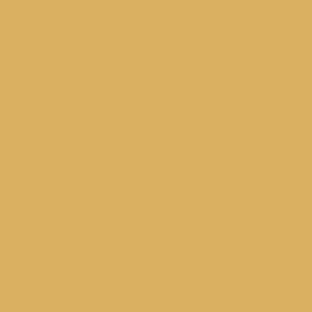 B 32 - Ginger yellow