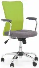 Dětská židle Andy - zeleno-šedá