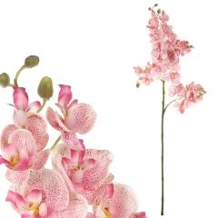 Orchidej růžová KT7907 PINK