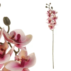 Orchidej světle růžová KUM3417-PINK-LT