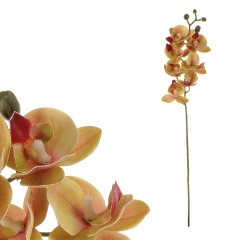 Orchidej tmavě růžová KUM3417-PINK-DK č.1