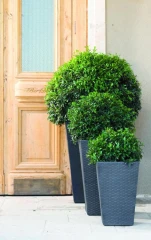 Květináč Rattan planter M