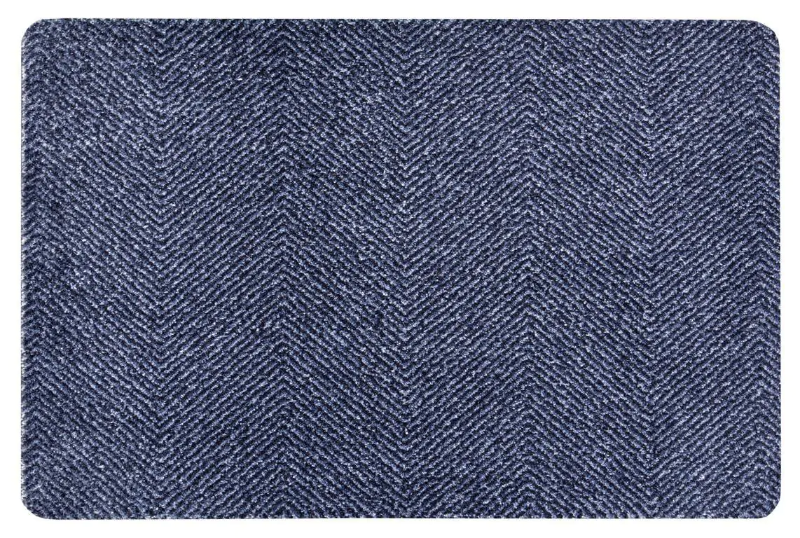 Hanse Home Rohožka Clean & Go 105348 – modrá/černá 45x67 cm